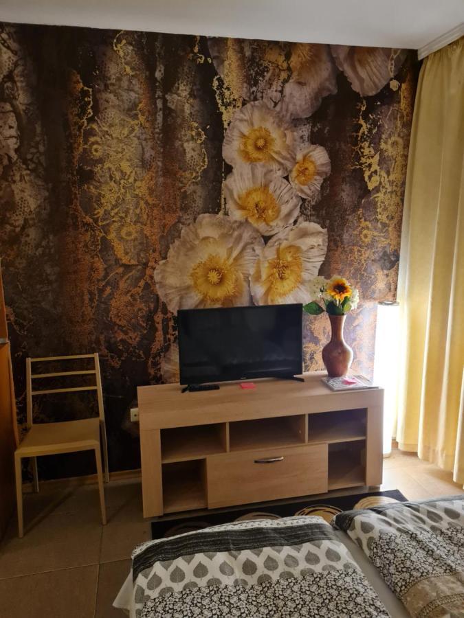 Borovets Holiday Apartments - Different Locations In Borovets Eksteriør bilde